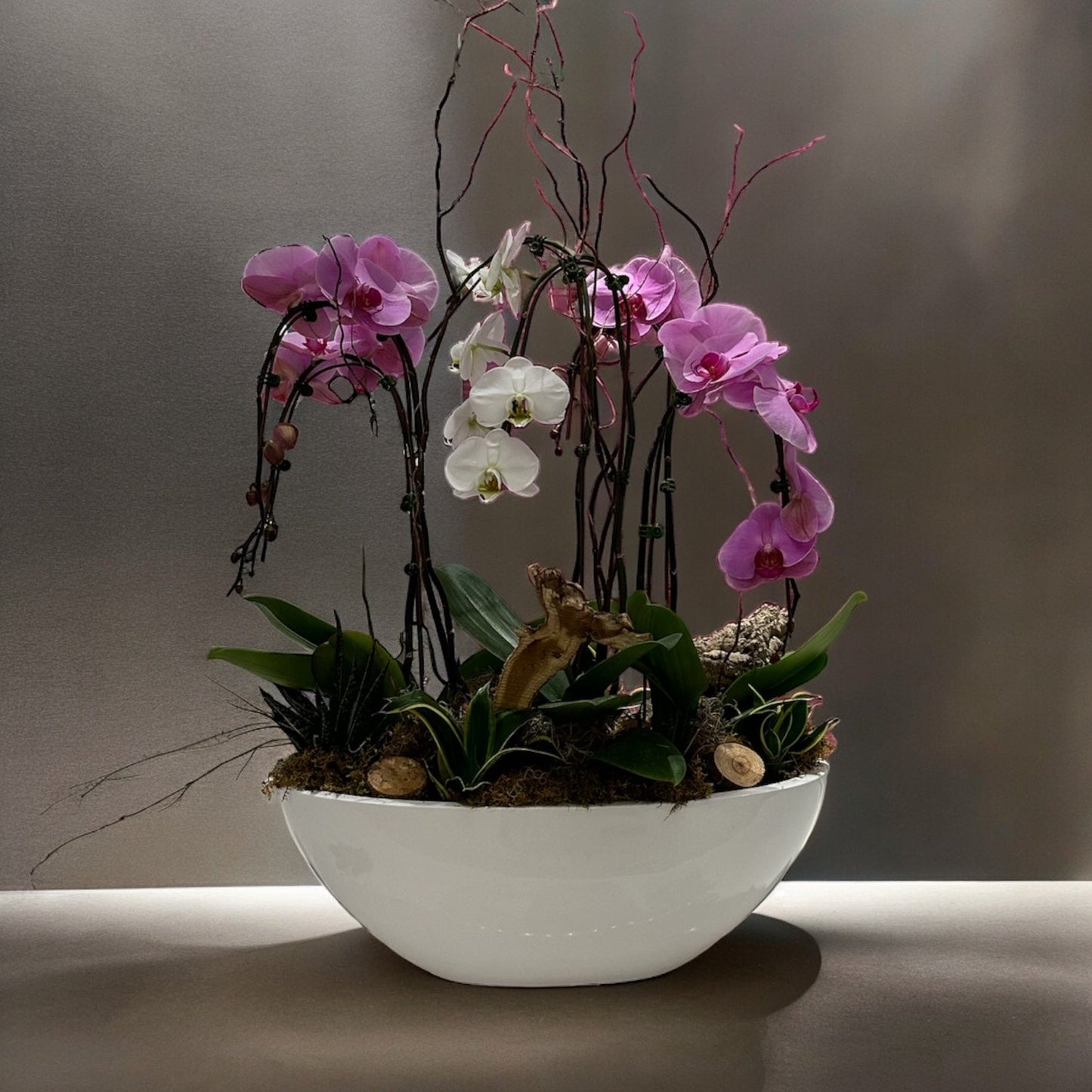 Orchid Elegance arrangement showcasing minimalist tranquility with vibrant colors in a sleek white pot.