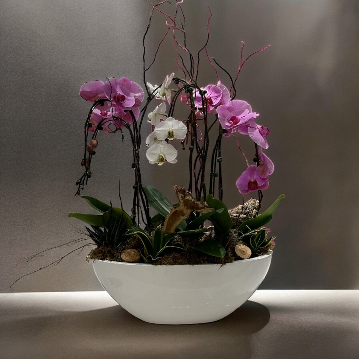 Orchid Elegance arrangement showcasing minimalist tranquility with vibrant colors in a sleek white pot.