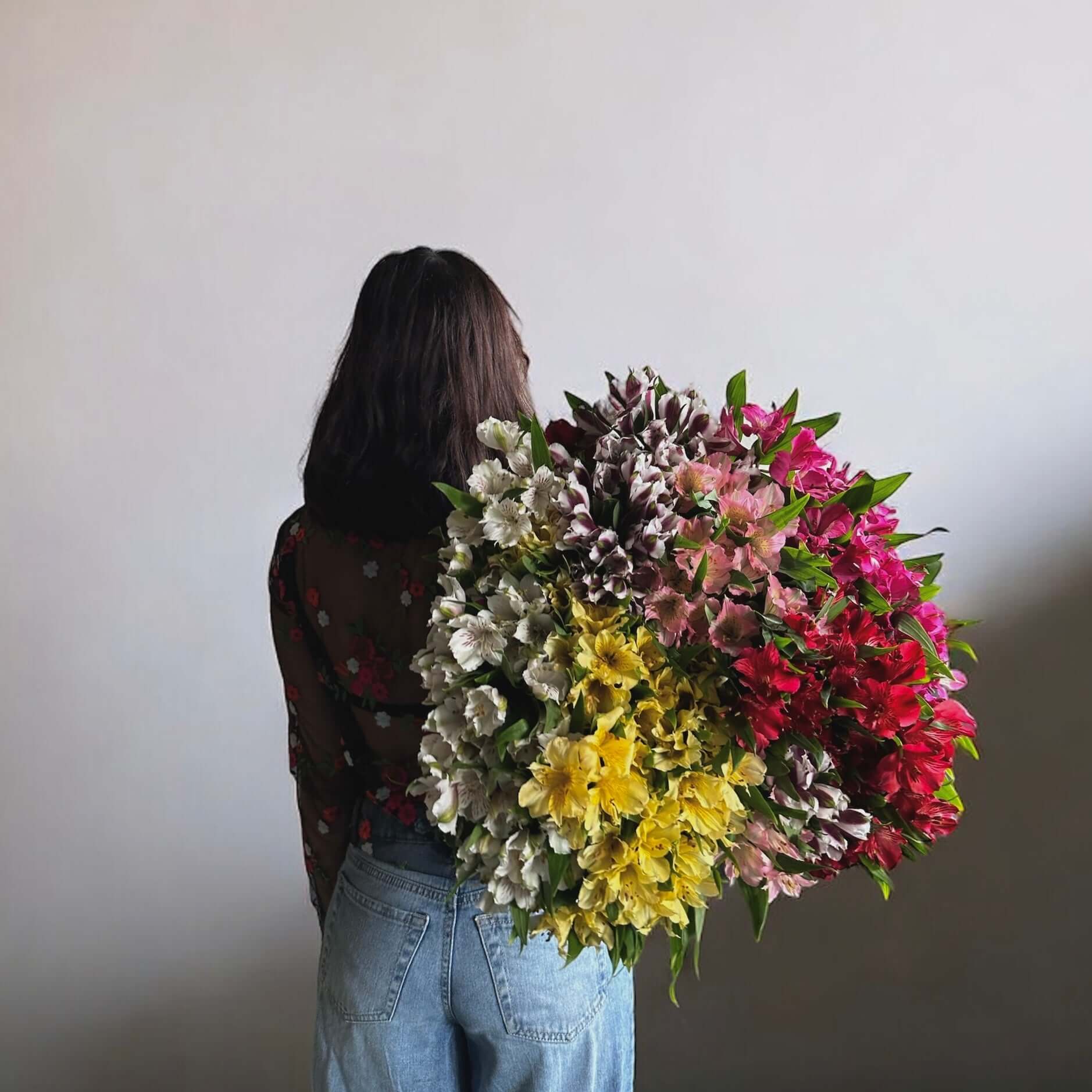 Woman holding a large bouquet of vibrant Alstroemeria flowers, showcasing elegance and vibrance, perfect for luxury arrangements.