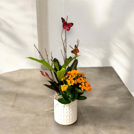 Elegant indoor plant in a decorative pot, perfect for home and office decor